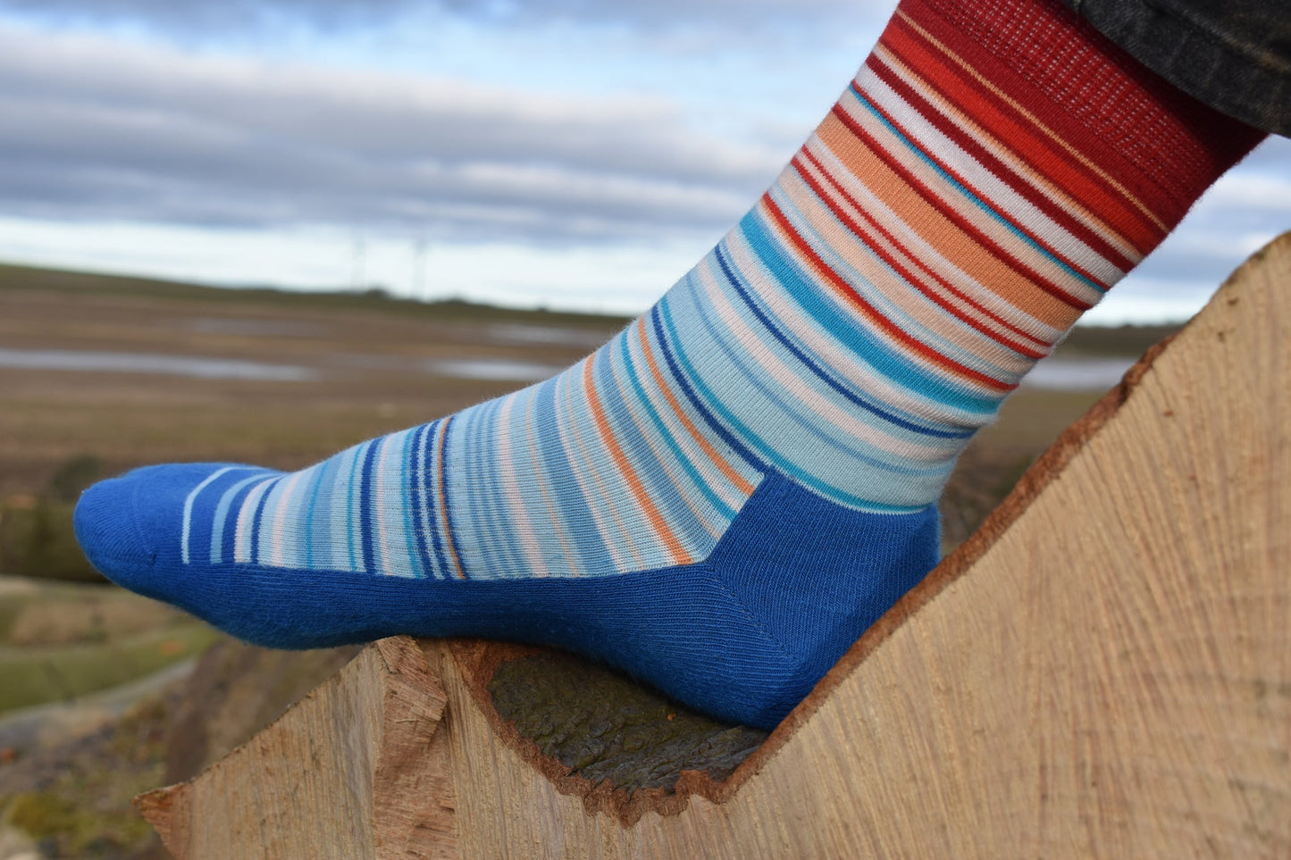 A pair of combed cotton socks with the climate stripes pattern