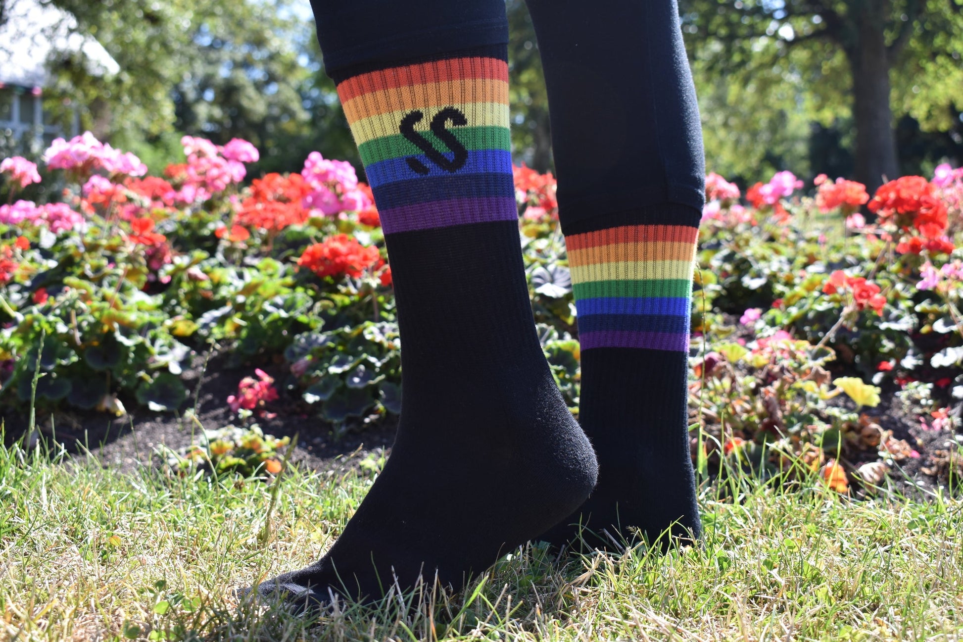 A pair of black crew length socks with a rainbow band being worn outside on the grass